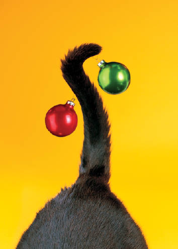 Cat Tail With Baubles (code 8786)
