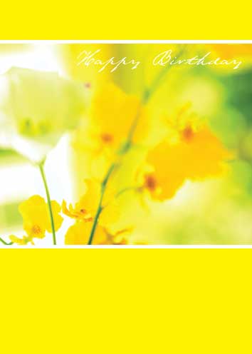 BC33 - Yellow Flowers