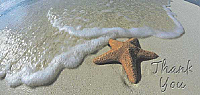TYC07 - Starfish