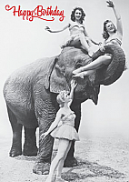 BC49 - Girls and Elephant